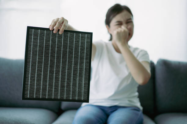 Best HVAC System Cleaning  in Arbury Hls, IL